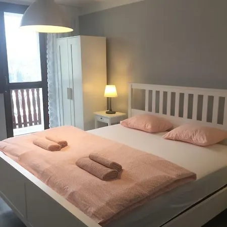 Klimatyzowany Apartamento Oświęcim